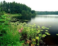 0006-004-Valdajskij-natsionalnyj-park-obrazovan-s-tselju-sokhranenija-unikalnogo
